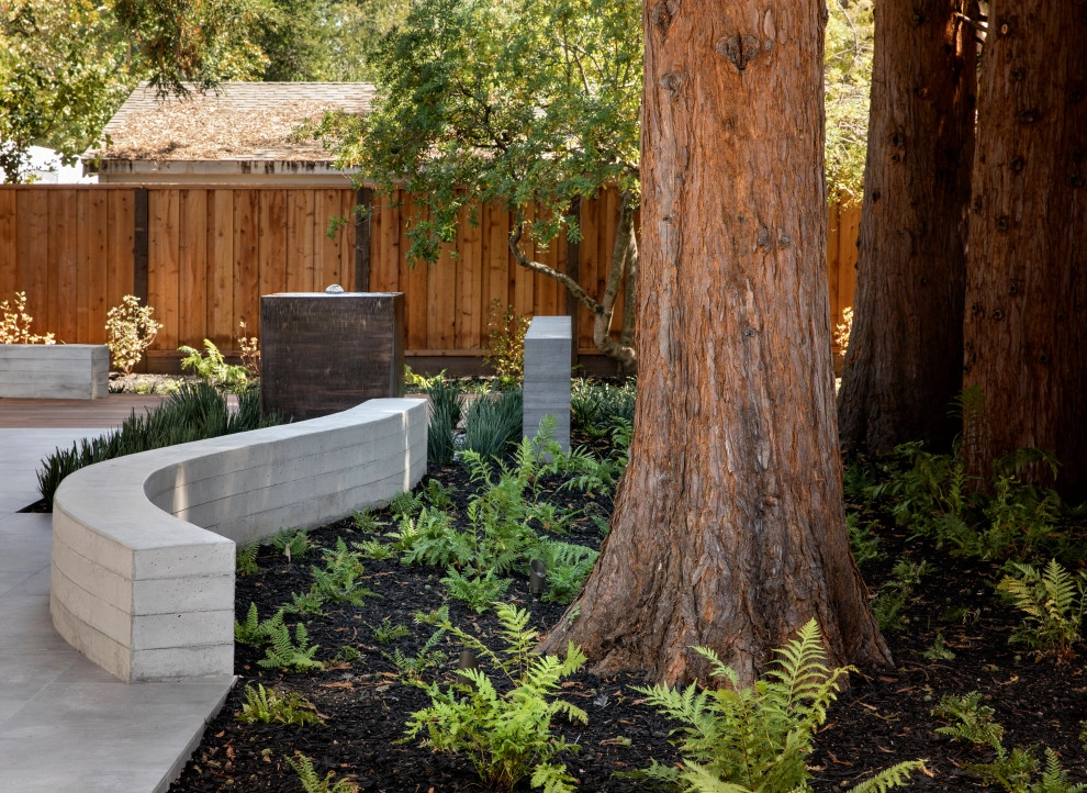 Palo Alto Modern by T.H.Norton Landscape Architecture, Inc. - Photo 5
