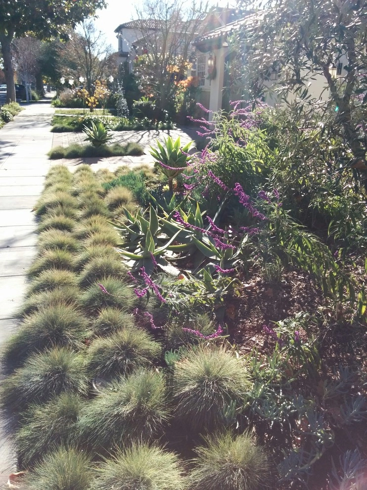 Mediterranean Landscape by T.H.Norton Landscape Architecture, Inc. - Photo 7