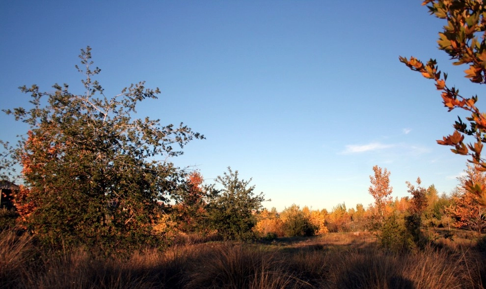 Misc. Projects by T.H.Norton Landscape Architecture, Inc. - Photo 5