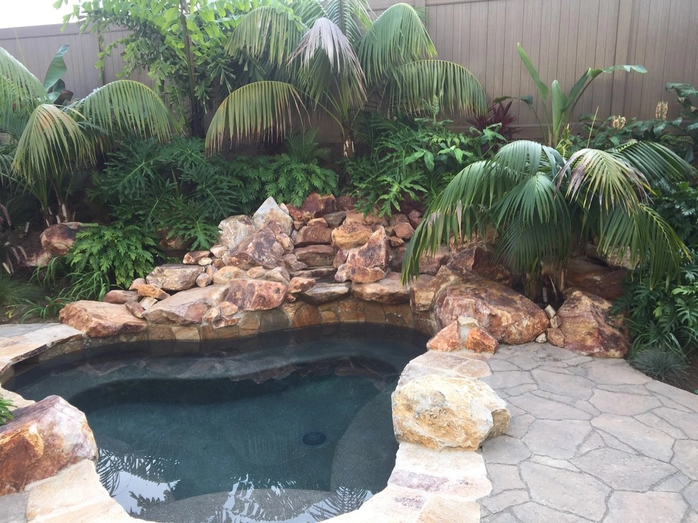 Encinitas Tropical by Team G7 Landscape Design & Construction - Photo 6