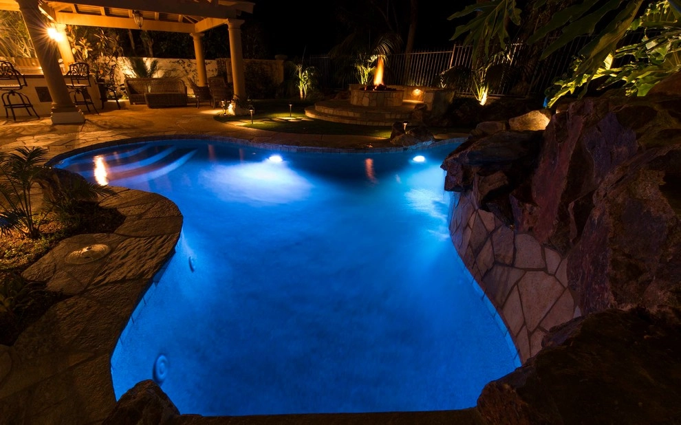Aviara Tropical Project by Team G7 Landscape Design & Construction - Photo 2