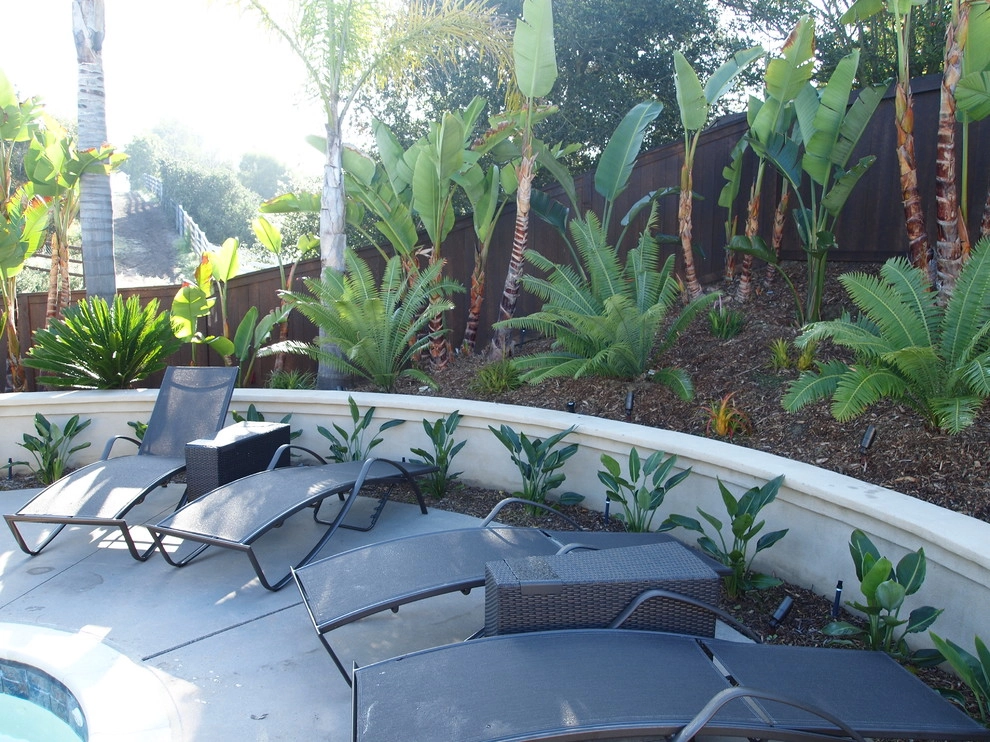La Costa Tropical Residence by Team G7 Landscape Design & Construction - Photo 6