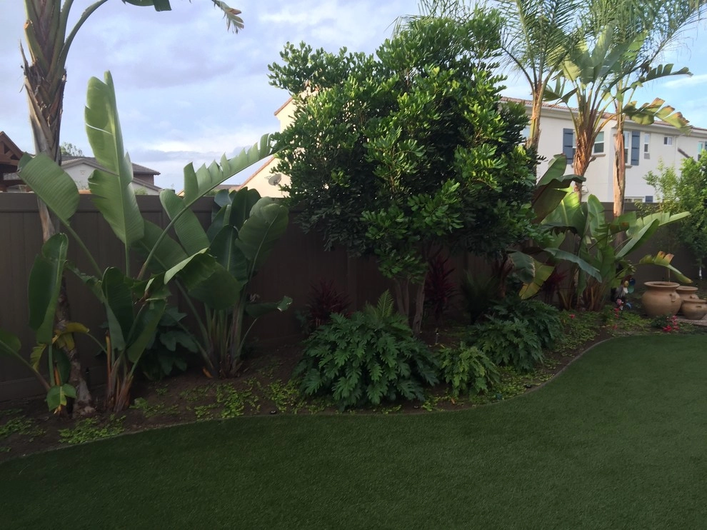 Encinitas Tropical by Team G7 Landscape Design & Construction - Photo 5