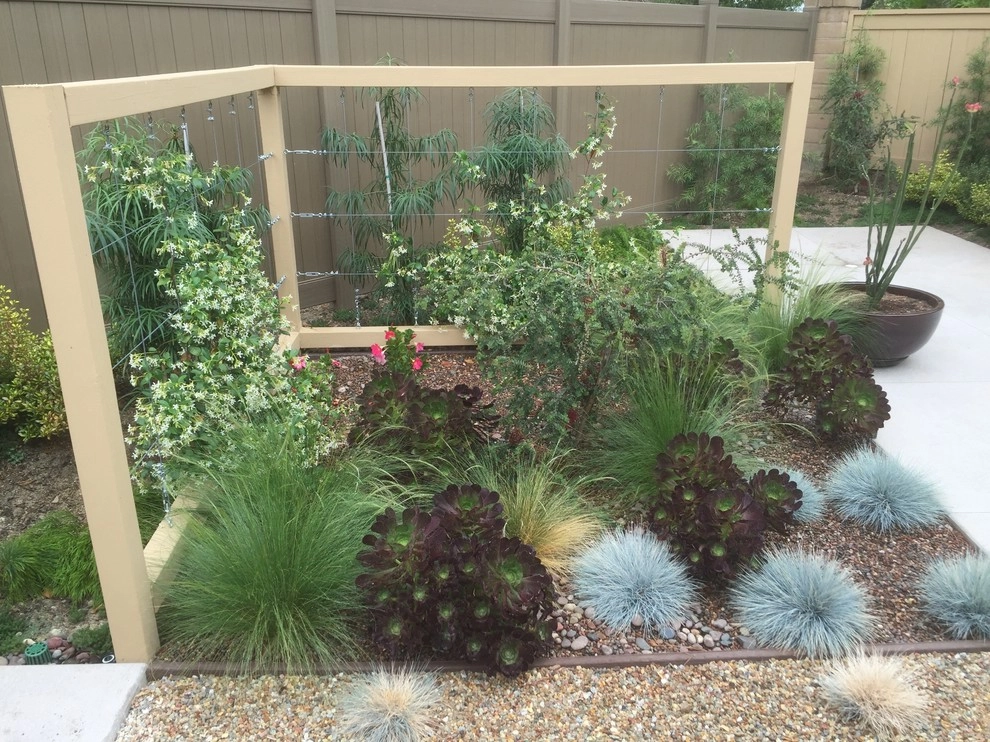 Oceanside Contemporary Project by Team G7 Landscape Design & Construction - Photo 4