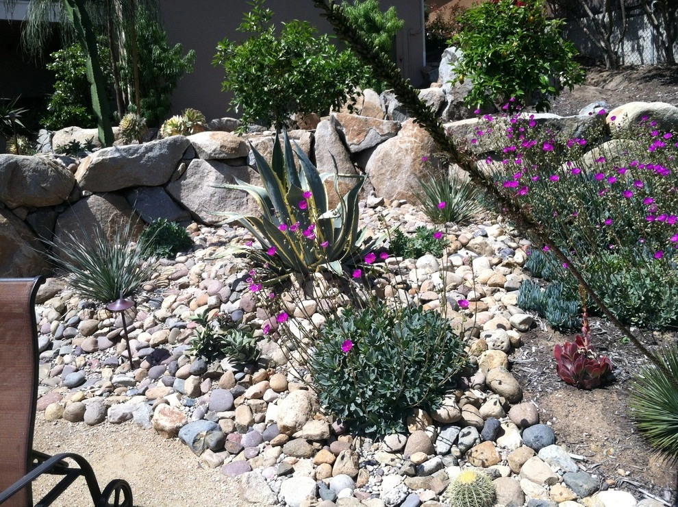 La Mesa Waterwise by Team G7 Landscape Design & Construction - Photo 4