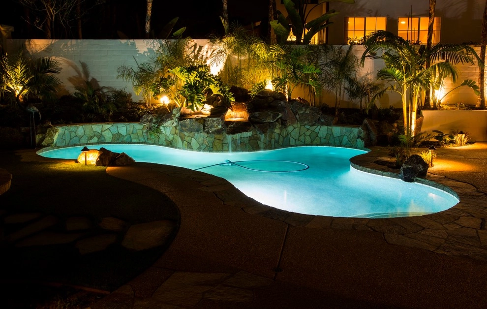 Aviara Tropical Project by Team G7 Landscape Design & Construction - Photo 3