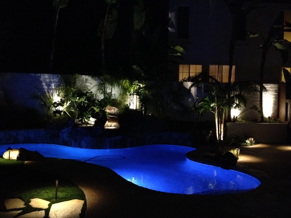 Aviara Tropical Project by Team G7 Landscape Design & Construction - Photo 7