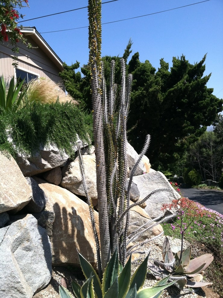 La Mesa Waterwise by Team G7 Landscape Design & Construction - Photo 3