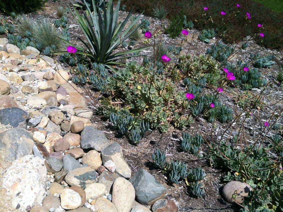 La Mesa Waterwise by Team G7 Landscape Design & Construction - Photo 5