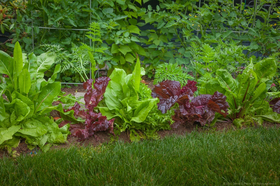 Garden Crest by Terra Design - Photo 9