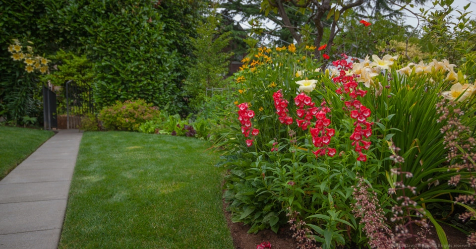 Garden Crest by Terra Design - Photo 12