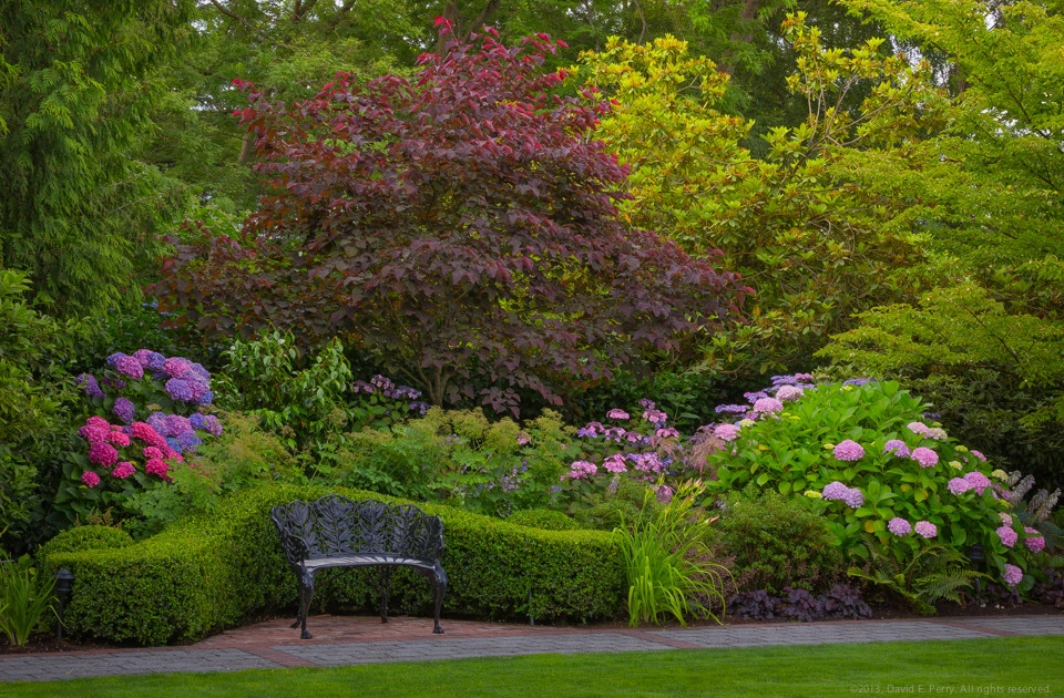 Lush English Garden by Terra Design - Photo 3