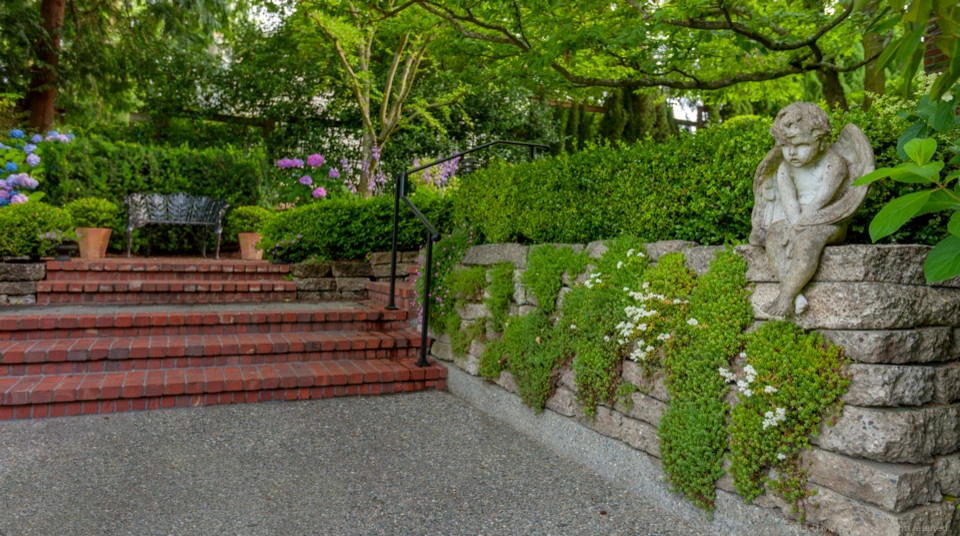 Lush English Garden by Terra Design - Photo 2