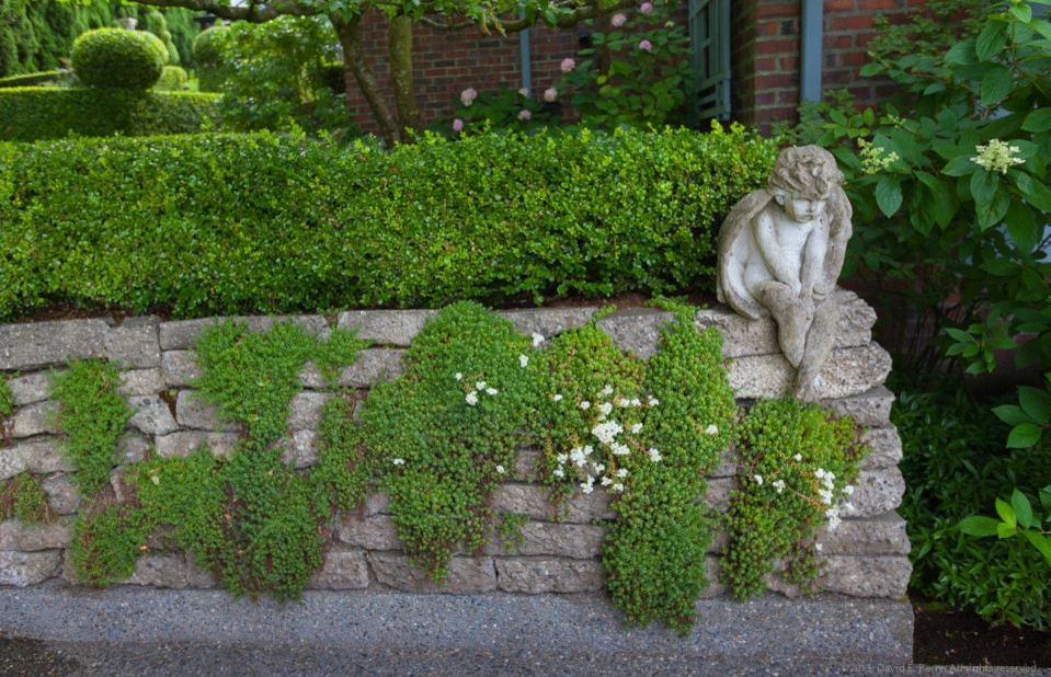 Lush English Garden by Terra Design - Photo 4