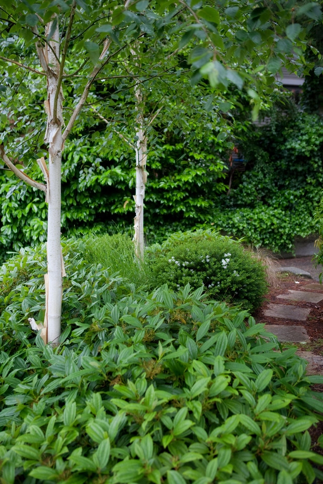 Circles and Squares in the Garden by Terra Design - Photo 4