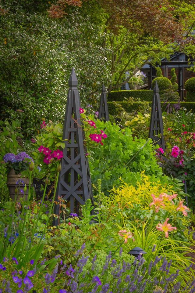 Lush English Garden by Terra Design - Photo 5