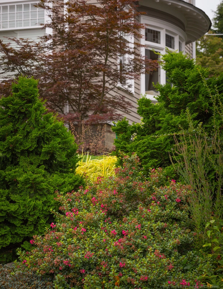 Garden Crest by Terra Design - Photo 3