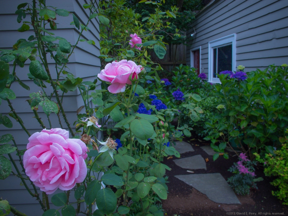 Garden Crest by Terra Design - Photo 4