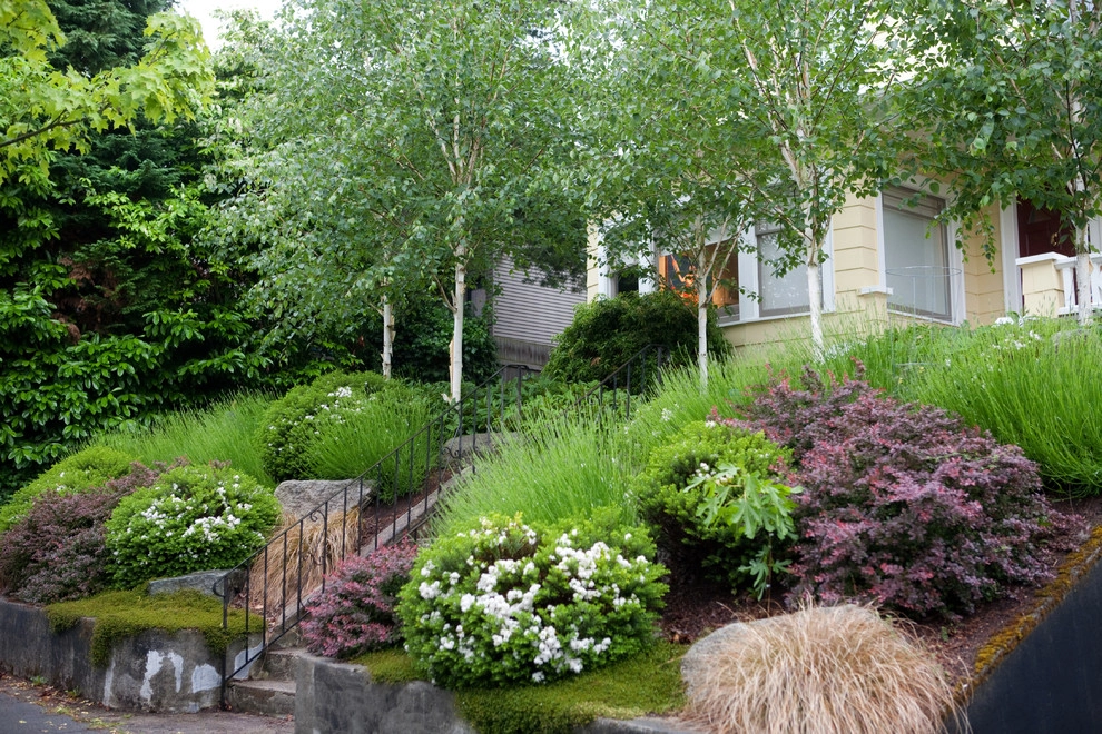 Terra Design - Photo 9