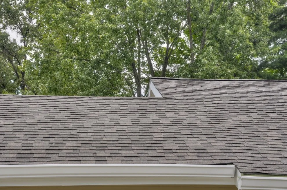 Exterior Siding Transformation by Jackson Custom Homes & Remodeling - Photo 8