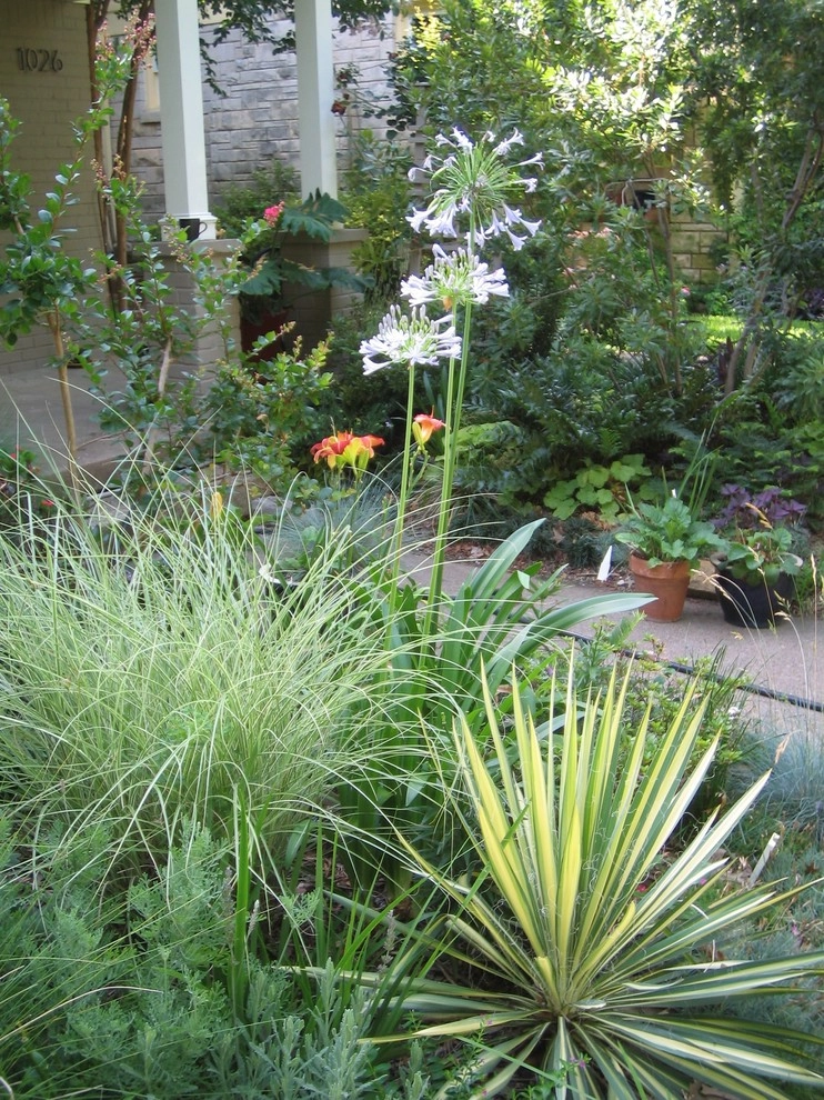 Terrain Atelier - Photo 4