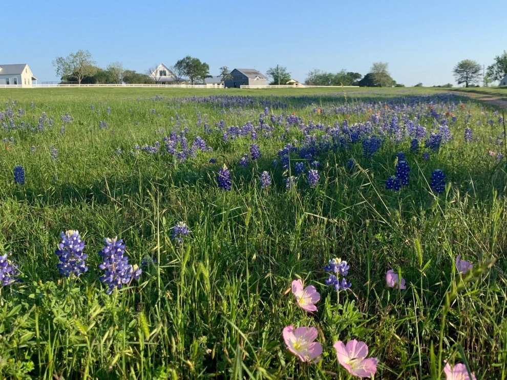 Trinity Farm by Terralab | Landscape Architects, LLC - Photo 4