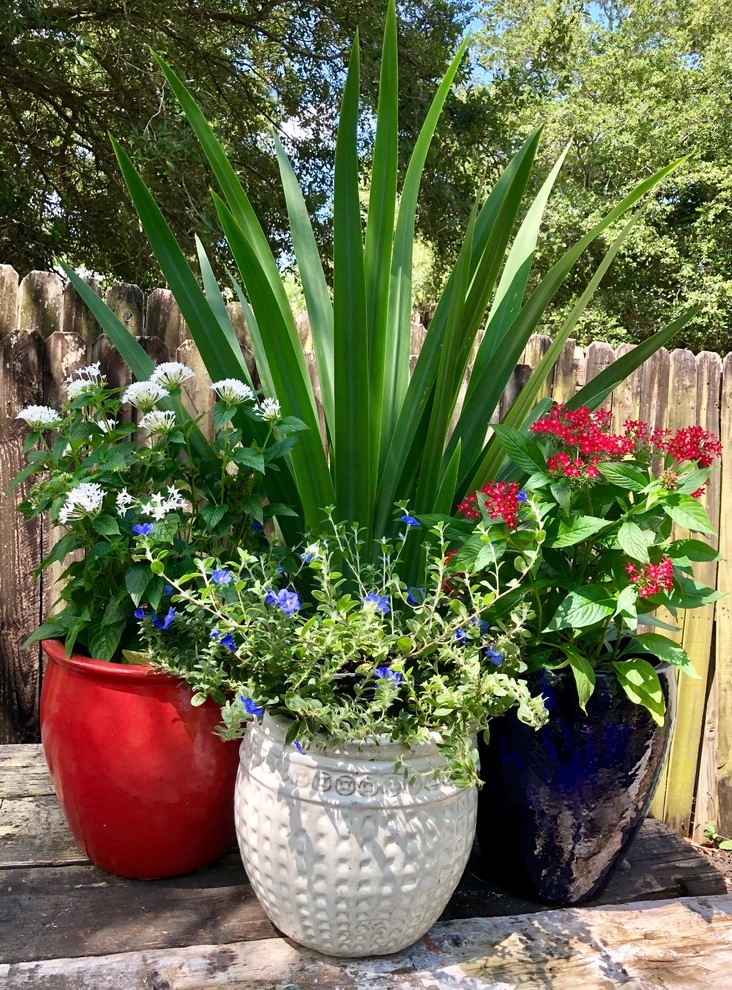 Pottery by Terranova Landscapes & Designs Inc. - Photo 4