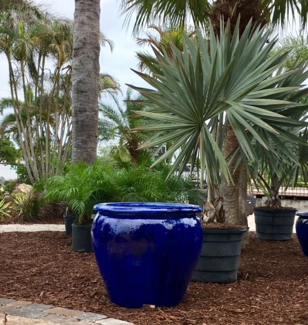 Pottery by Terranova Landscapes & Designs Inc. - Photo 6