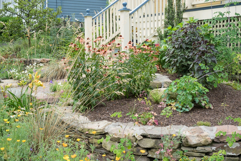 No Mow Front Yard by Terrascapes Landscape Design - Photo 9