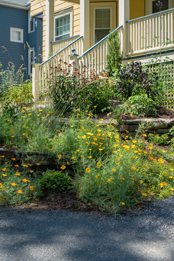 No Mow Front Yard by Terrascapes Landscape Design - Photo 7