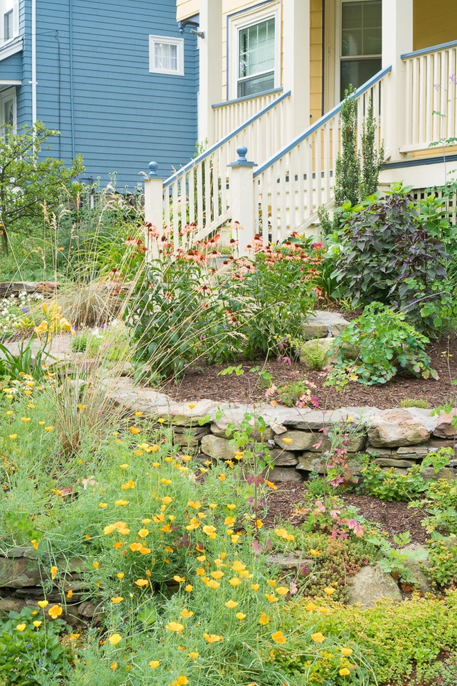 No Mow Front Yard by Terrascapes Landscape Design - Photo 8