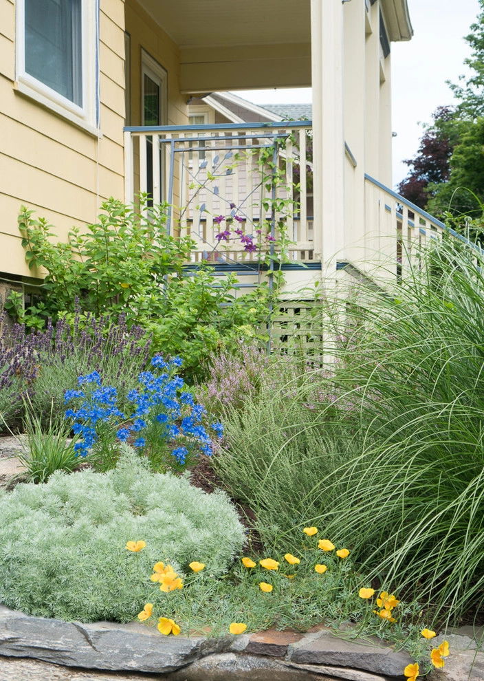 No Mow Front Yard by Terrascapes Landscape Design - Photo 5