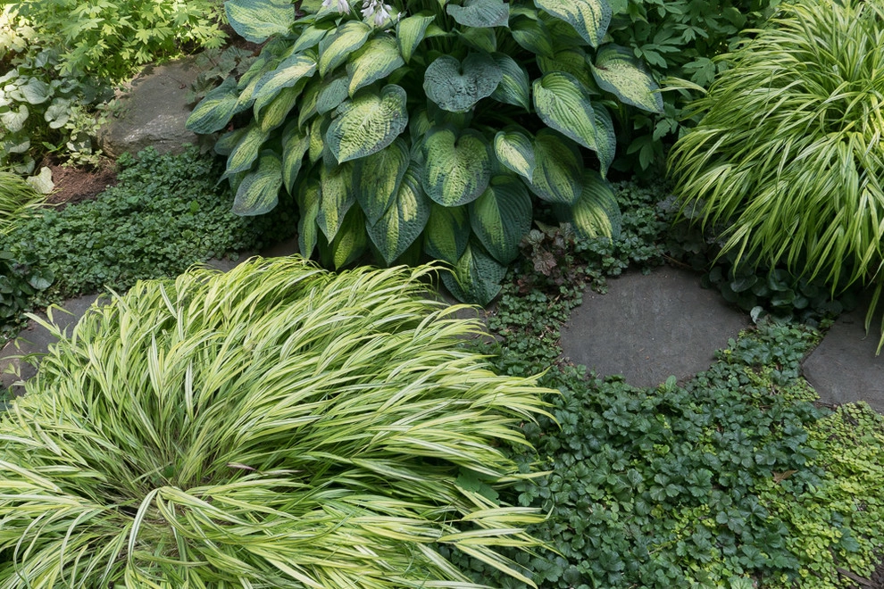 Sunny Front and Shady Back Garden Design by Terrascapes Landscape Design - Photo 6