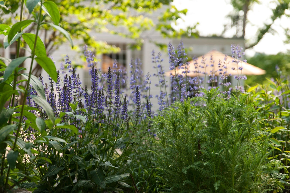 Terraced Garden on a Slope by Terrascapes Landscape Design - Photo 8