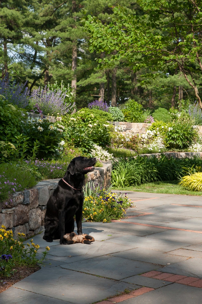 Terraced Garden on a Slope by Terrascapes Landscape Design - Photo 19