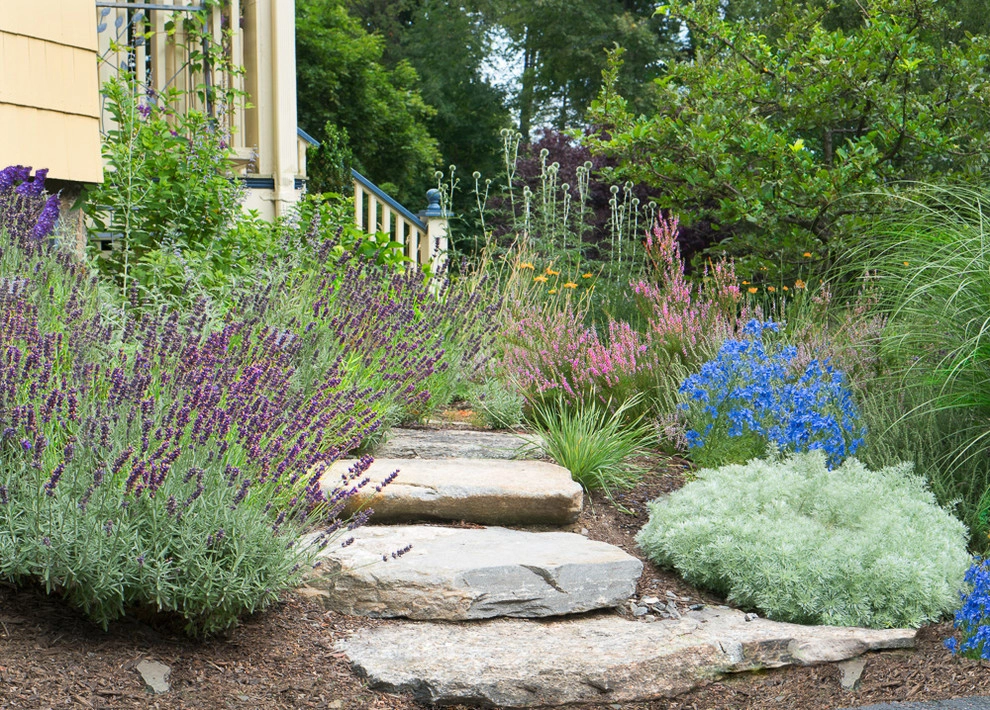No Mow Front Yard by Terrascapes Landscape Design - Photo 2