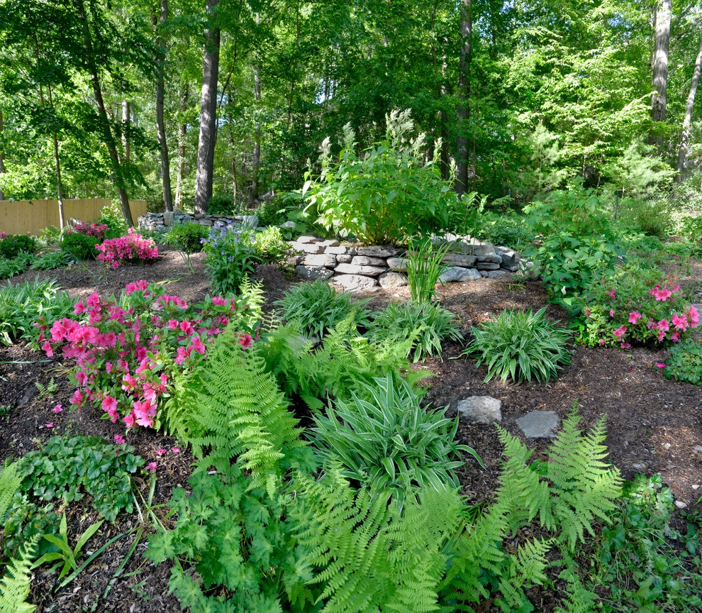 Woodland Garden on a Slope by Terrascapes Landscape Design - Photo 10