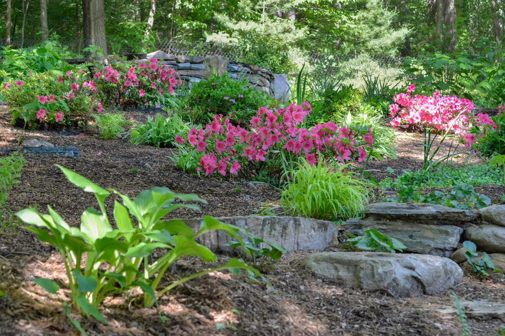 Woodland Garden on a Slope by Terrascapes Landscape Design - Photo 8