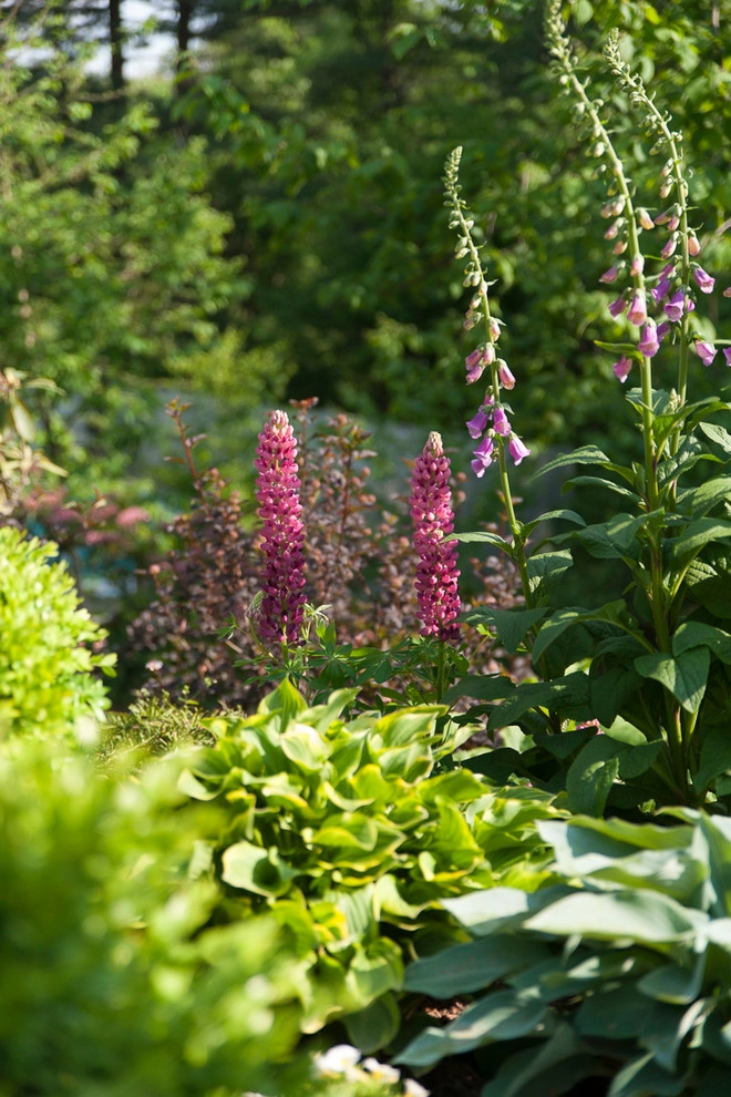 Terraced Garden on a Slope by Terrascapes Landscape Design - Photo 15
