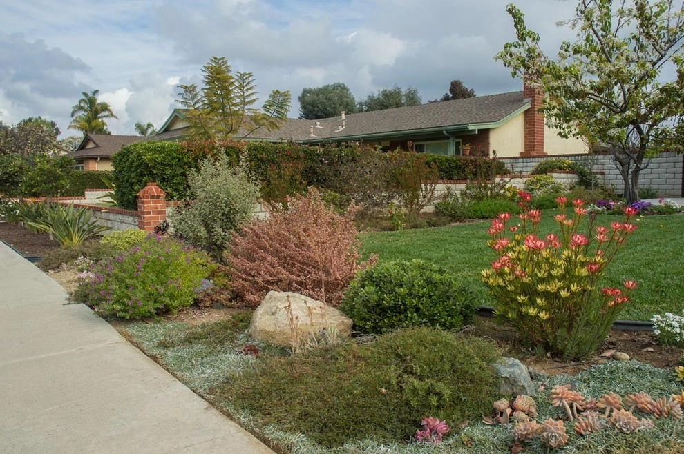 Encinitas Ranch Lawn Removal/Design/Installation by Barrels & Branches - Photo 6