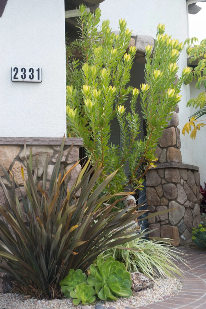 Carlsbad Tropical Design & Installation by Barrels & Branches - Photo 2