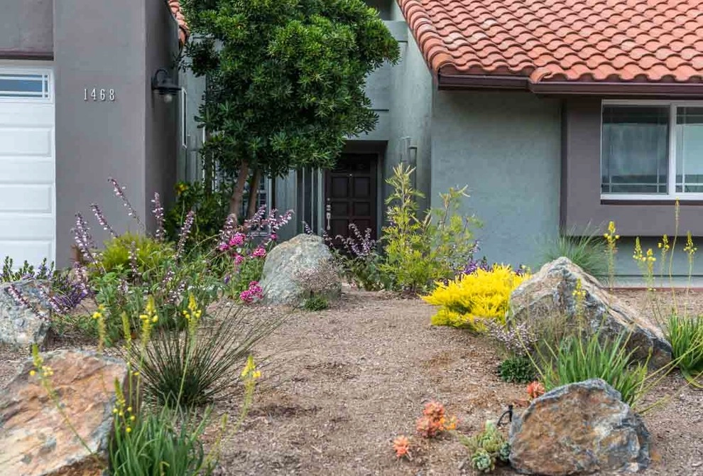 Encinitas, Modernized Front Yard Landscape by Barrels & Branches - Photo 3