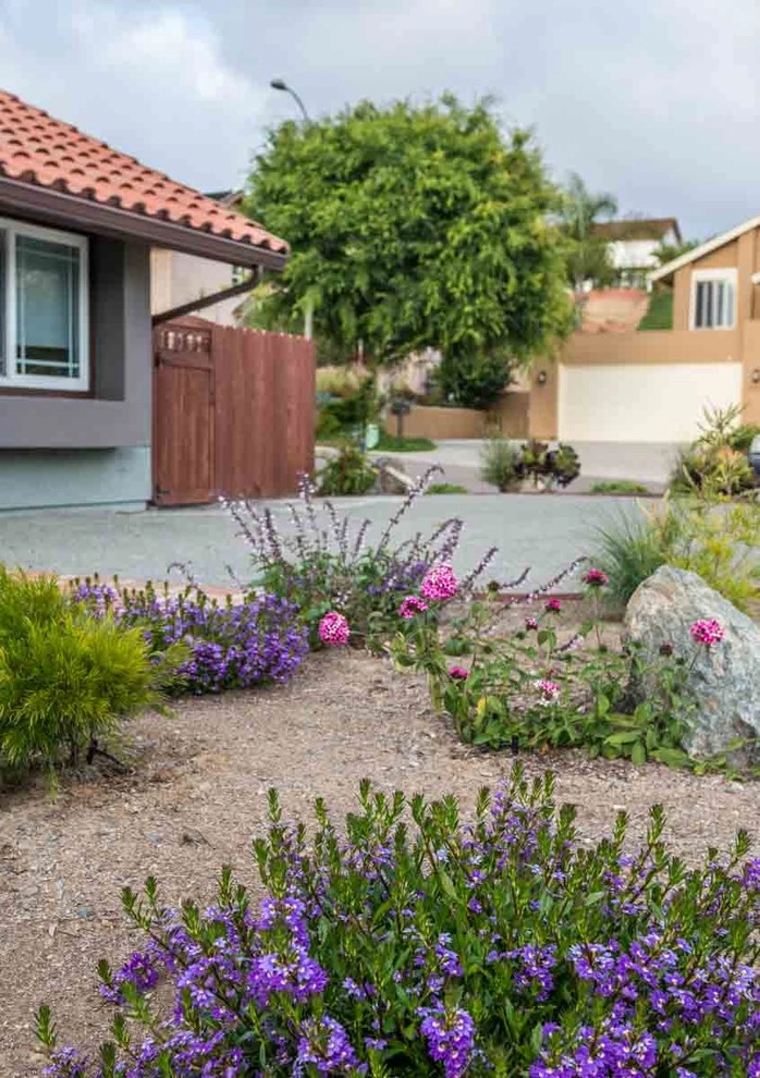 Encinitas, Modernized Front Yard Landscape by Barrels & Branches - Photo 8