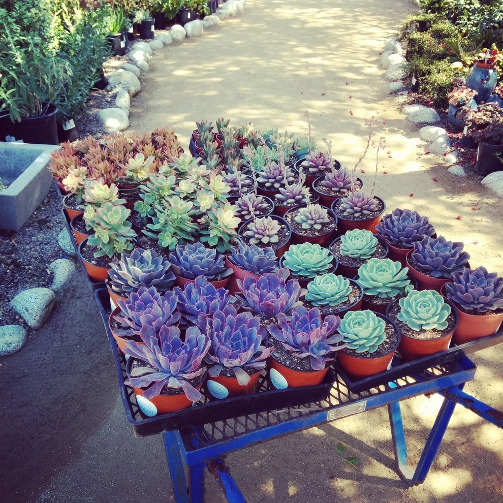 In The Nursery by Barrels & Branches - Photo 12