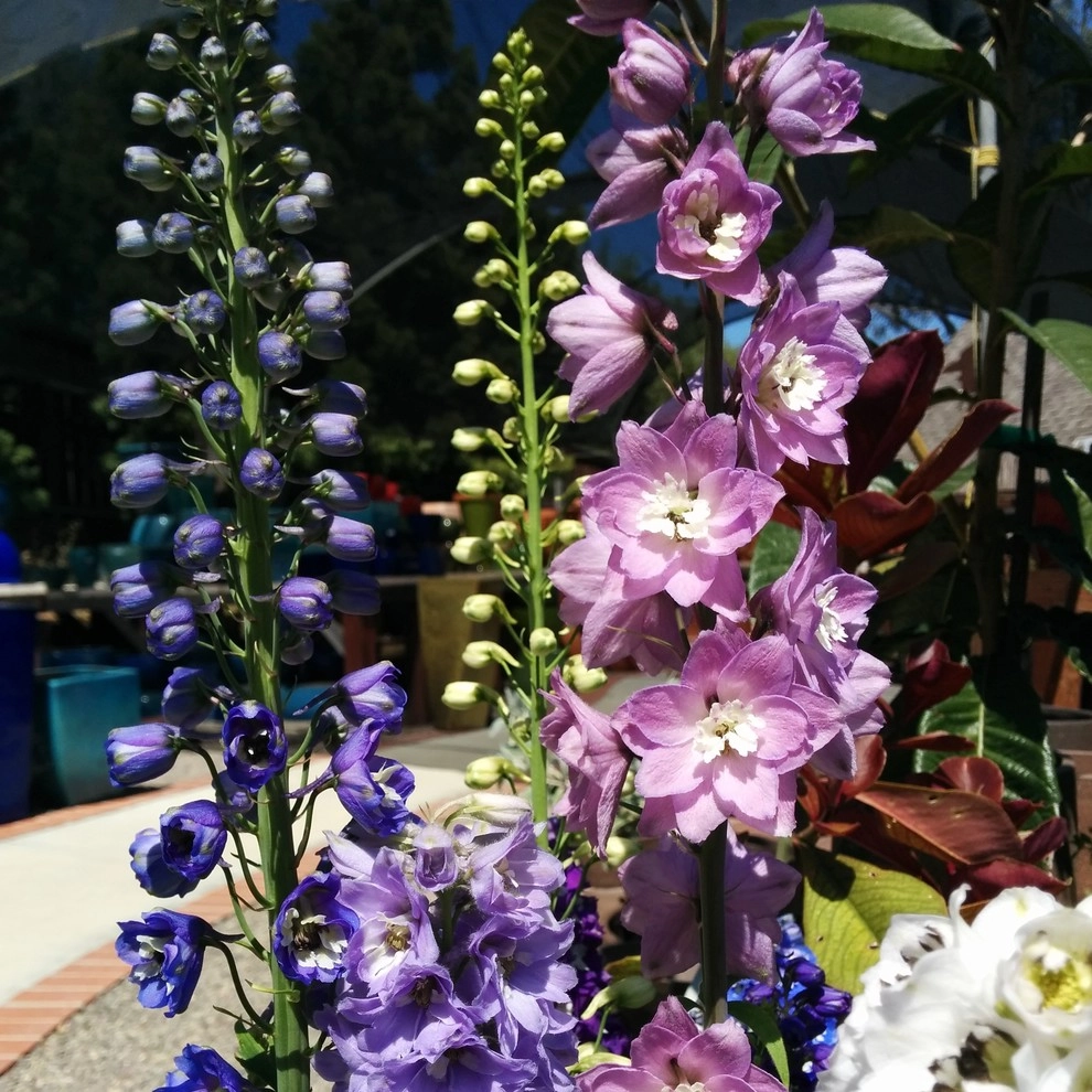 In The Nursery by Barrels & Branches - Photo 2