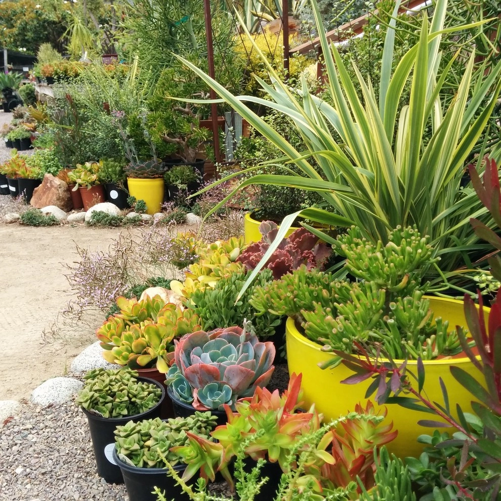 In The Nursery by Barrels & Branches - Photo 54