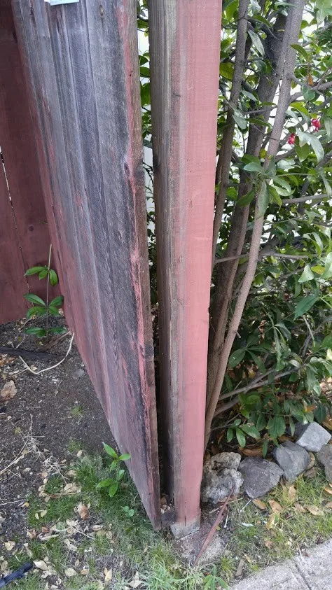 Modern Builders Hawaii LLC - Photo 10