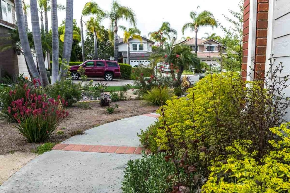 Encinitas, Lawn Removal by Barrels & Branches - Photo 9