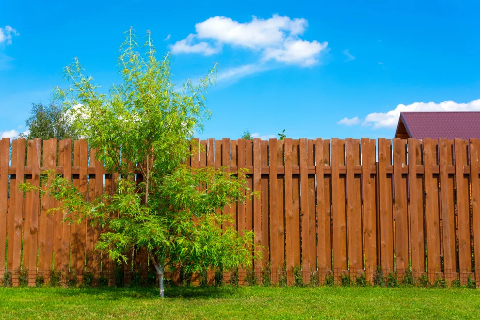 Fence Renovation by Snapper Construction - Photo 3