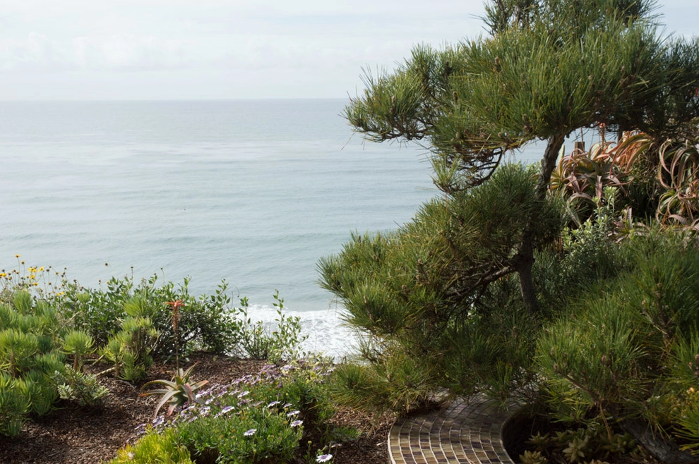 Leucadia Coastal Design & Installation by Barrels & Branches - Photo 4